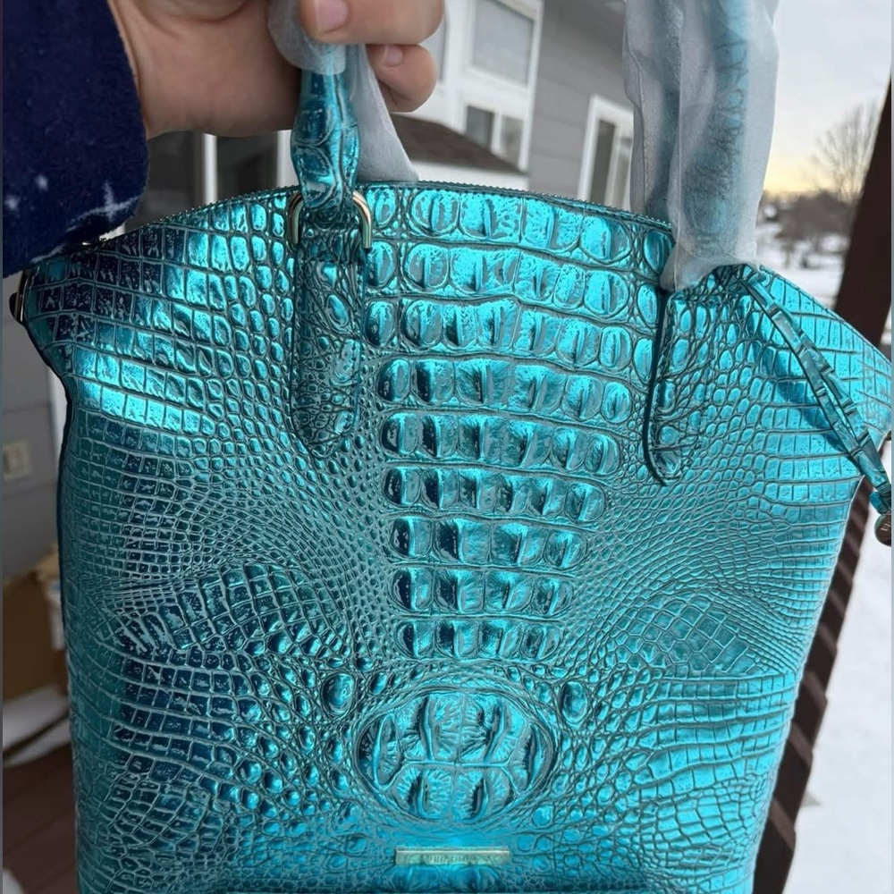 Brahmin Duxbury Aqua potion
